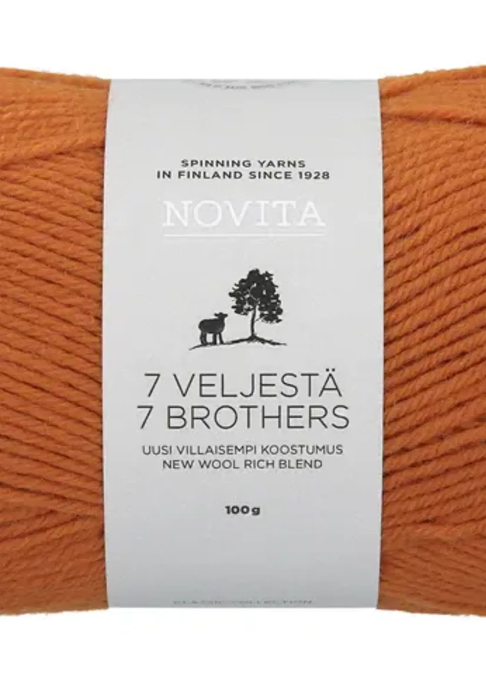 Novita 7 Veljestä 100g -273 brittlegill