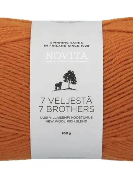 Novita 7 Veljestä 100g -273 brittlegill