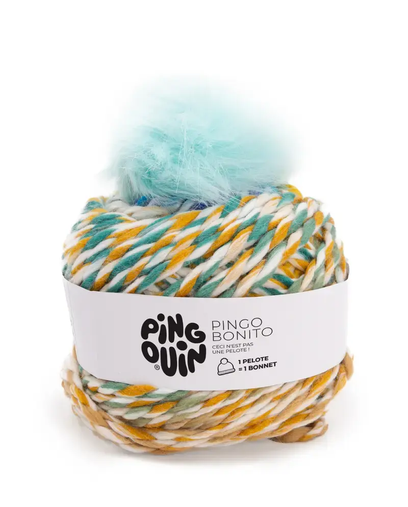 Pingouin Bonito muts multico turquoise