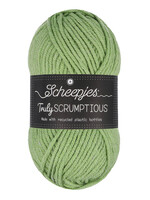 Scheepjes Truly Scrumptious - Scheepjes -318 Pistachio Bun. Cake