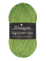 Scheepjes Truly Scrumptious - Scheepjes -326 Matcha Chiffon Cake