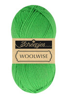 Scheepjes woolwise - Scheepjes -757 Kiwi Green