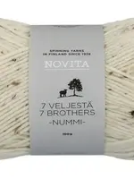 Novita 7 Veljestä Nummi 100g -945 frost
