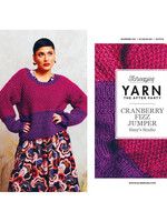 Scheepjes YARN The After Party nr.122 Cranberry Fizz Jumper NL
