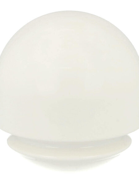 wobble ball 110mm - wit