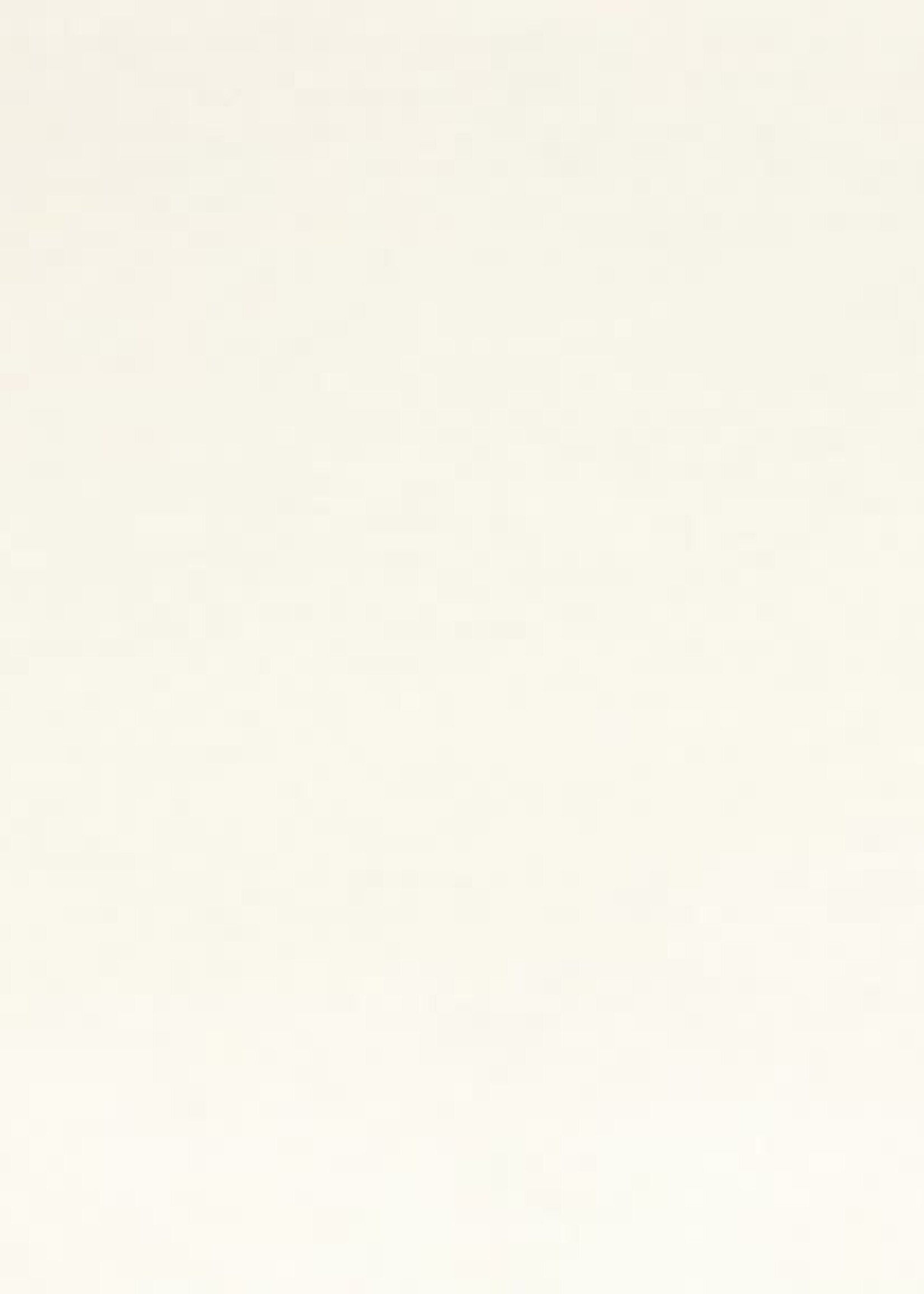 Vilt Queen's quality - wit - 30x20cm