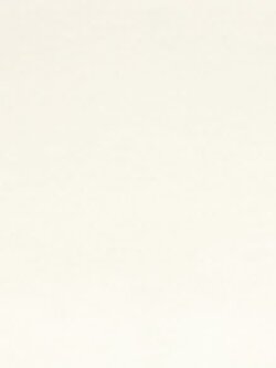 Vilt Queen's quality - wit - 30x20cm