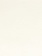 Vilt Queen's quality - wit - 30x20cm