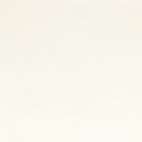 Vilt Queen's quality - wit - 30x20cm
