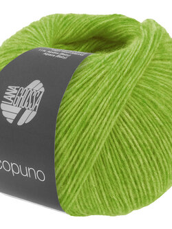 Lana Grossa Ecopuno - Lana Grossa -215 lentegroen
