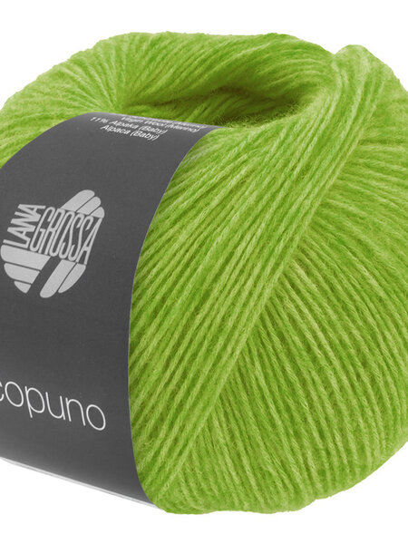 Lana Grossa Ecopuno -215 lentegroen
