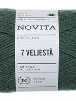 Novita 7 Veljestä 100g -375 bergenia