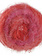 Lana Grossa Basta Mista -106 rose/felroze/zalm/koraal/rood