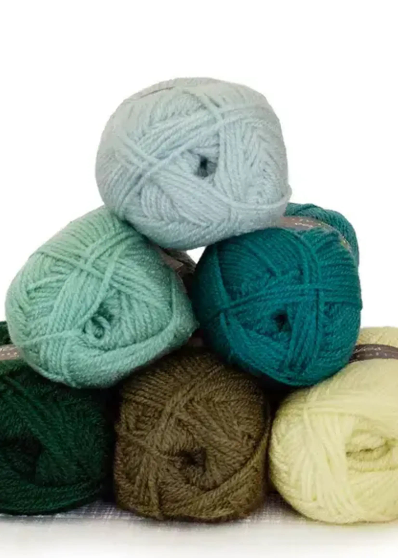 Scheepjes Colour Crafter colour pack 6x50g- The Veluwe