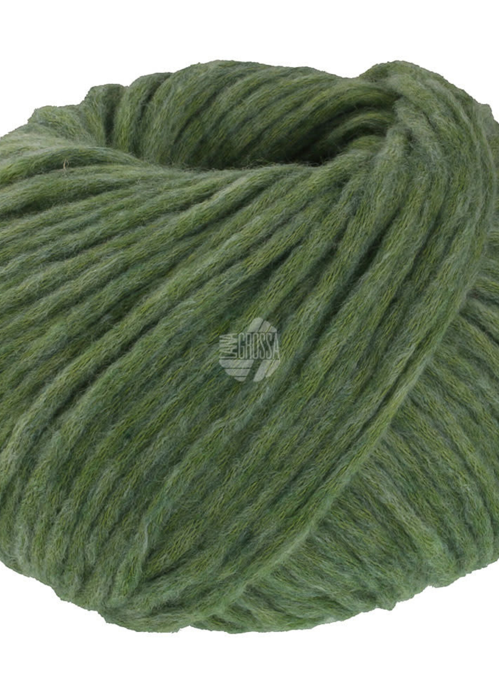Lana Grossa Winter Softness -Lana Grossa -04 bosgroen