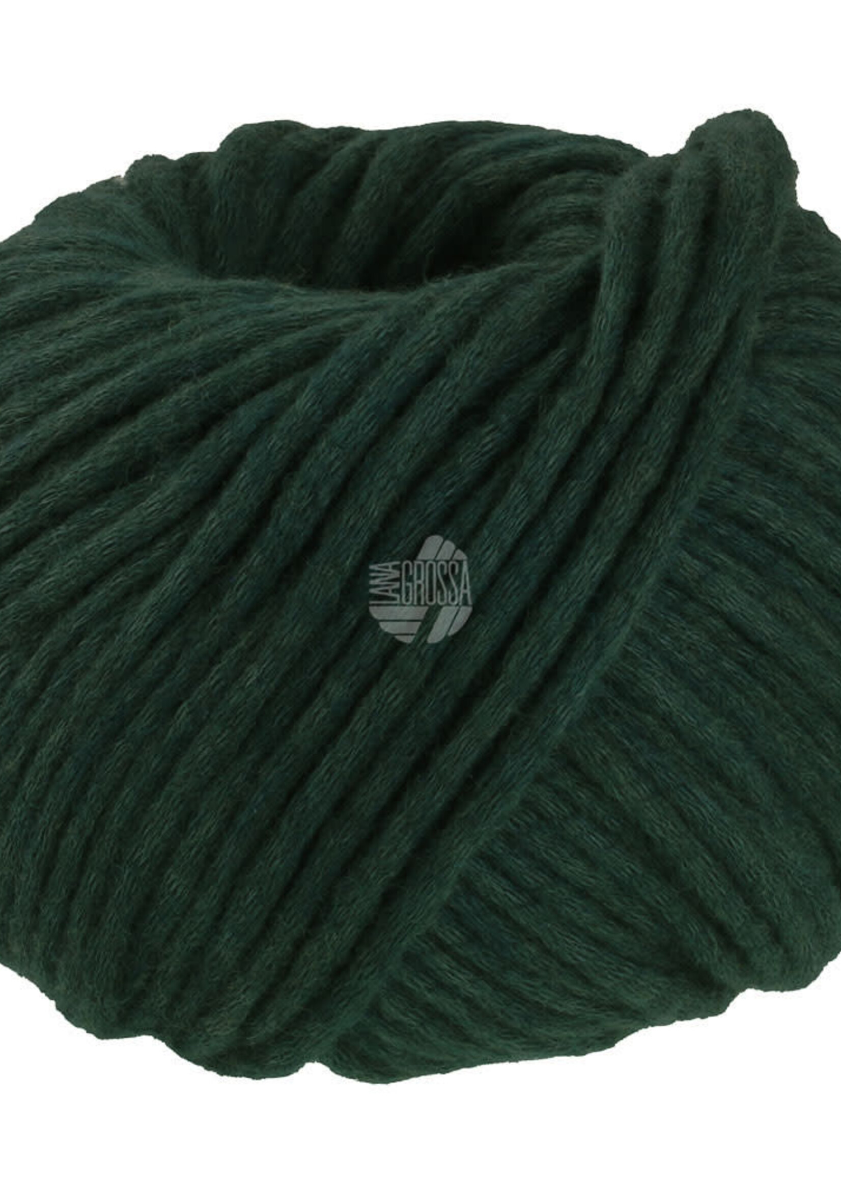 Lana Grossa Winter Softness -Lana Grossa -05 donkergroen