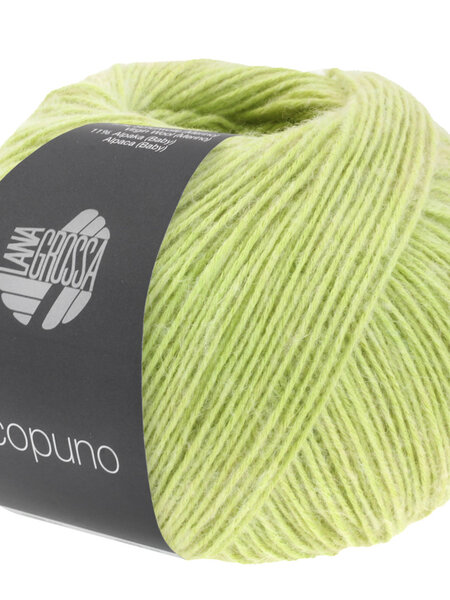 Lana Grossa Ecopuno -78 zachtgroen