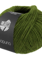 Lana Grossa Ecopuno - Lana Grossa -221 grasgroen
