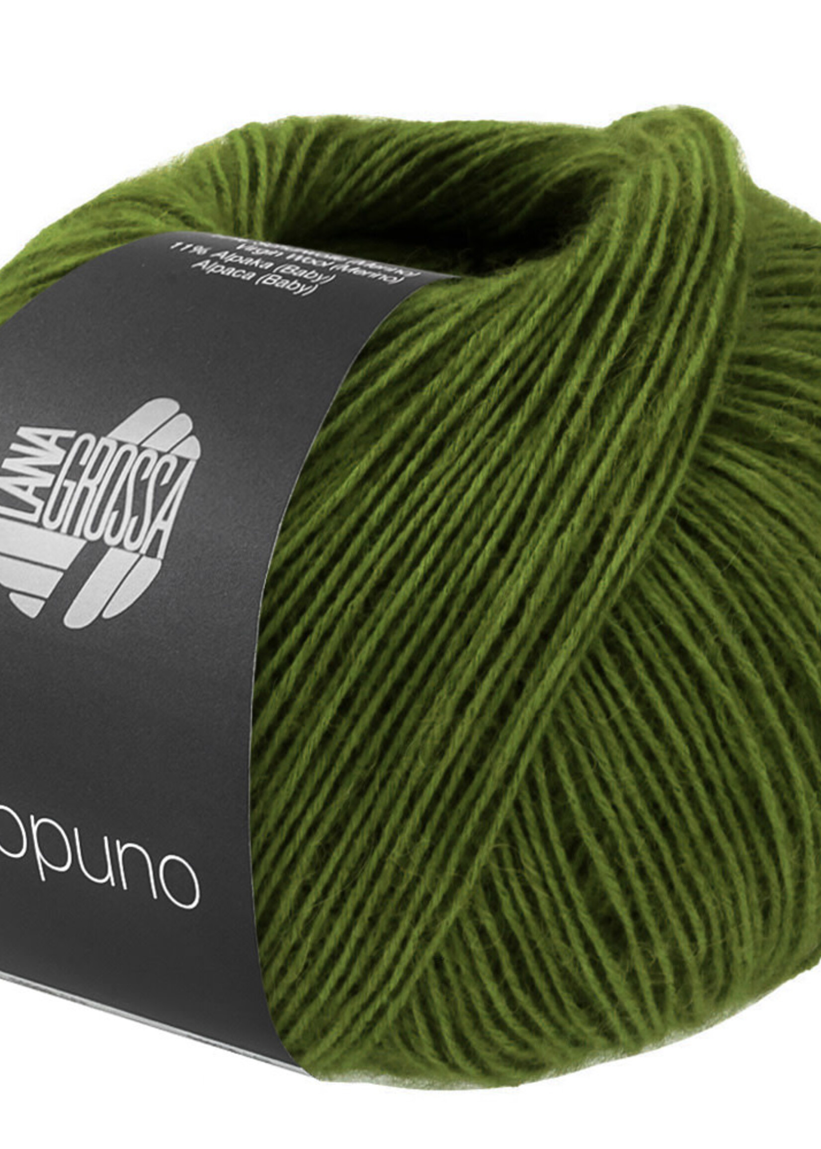 Lana Grossa Ecopuno - Lana Grossa -221 grasgroen