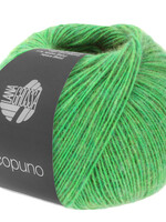 Lana Grossa Ecopuno - lana Grossa -87 groen