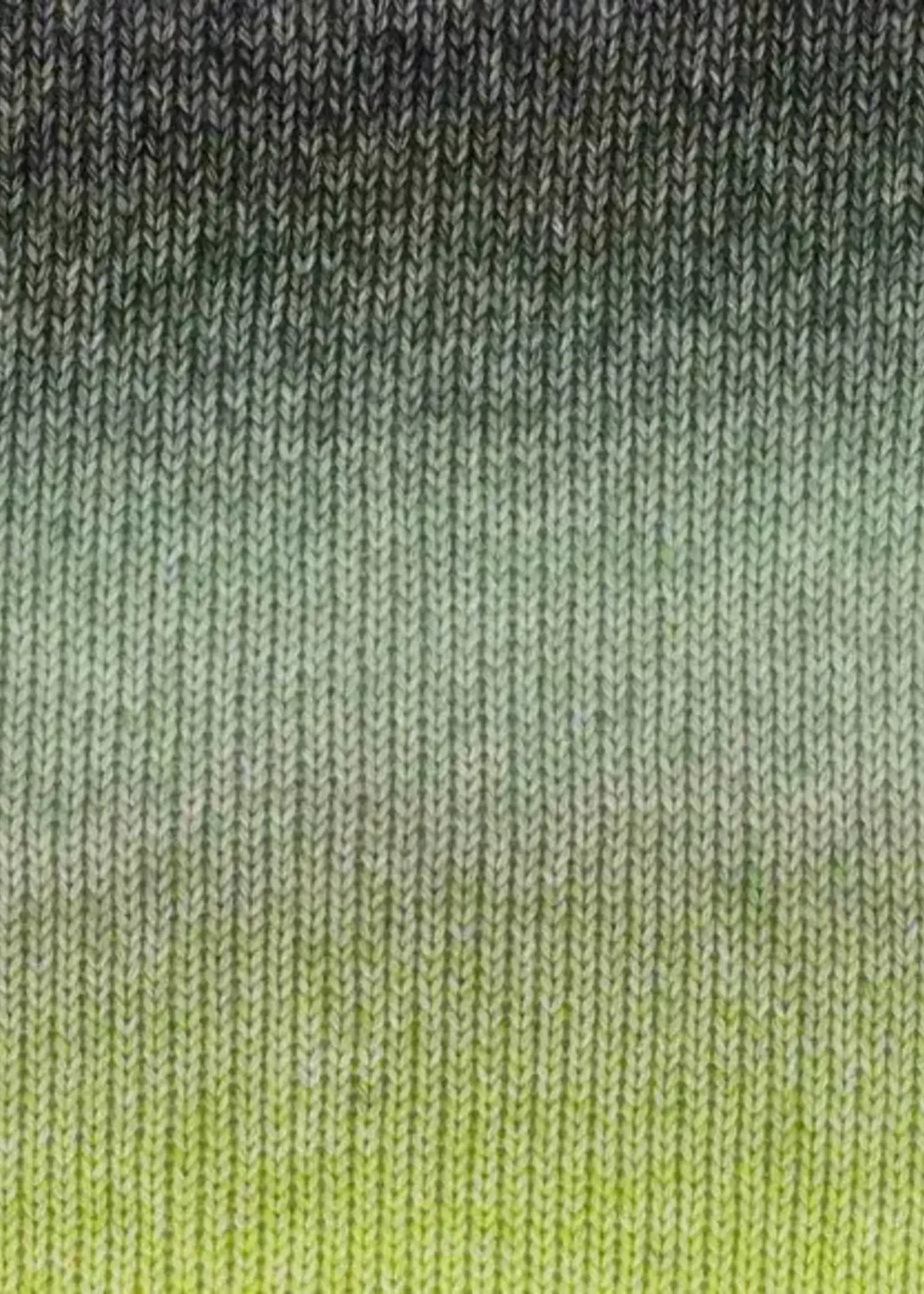 Scheepjes Stone Washed Flow - 15 Solace