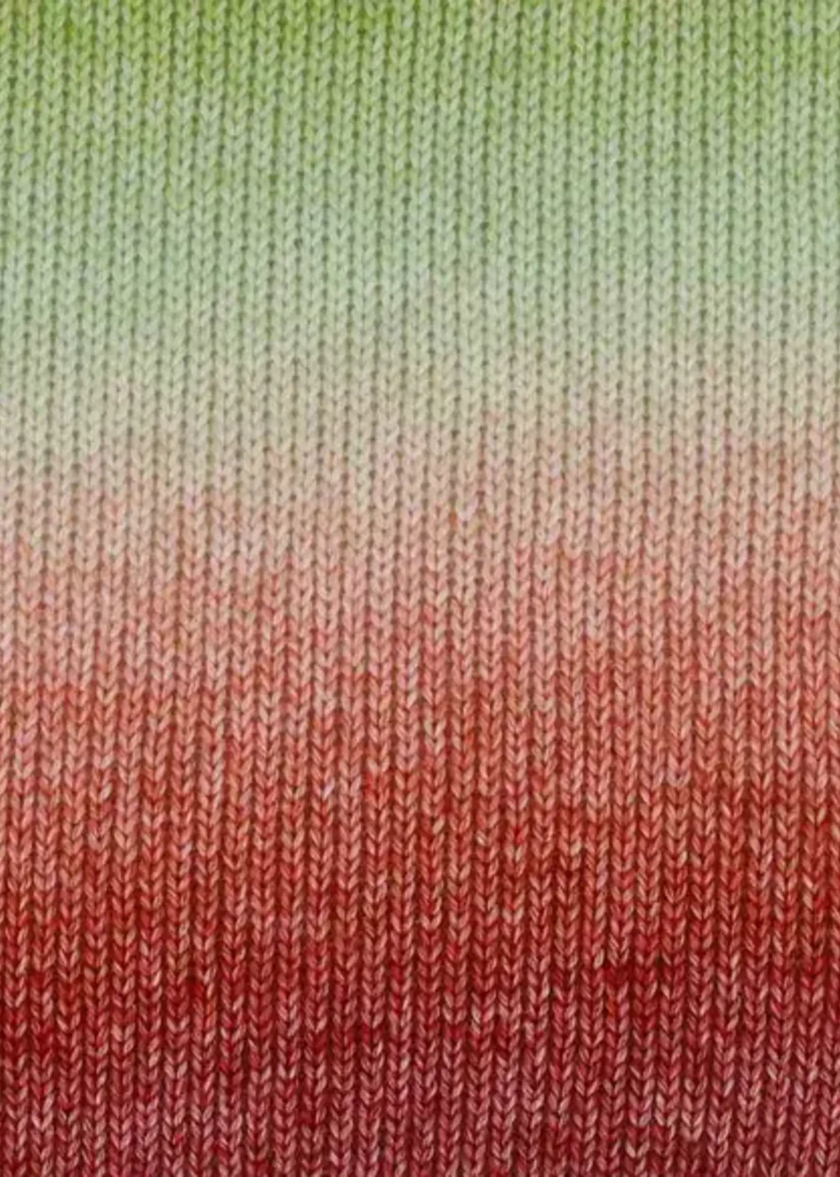 Scheepjes Stone Washed Flow - 17 Yuletide