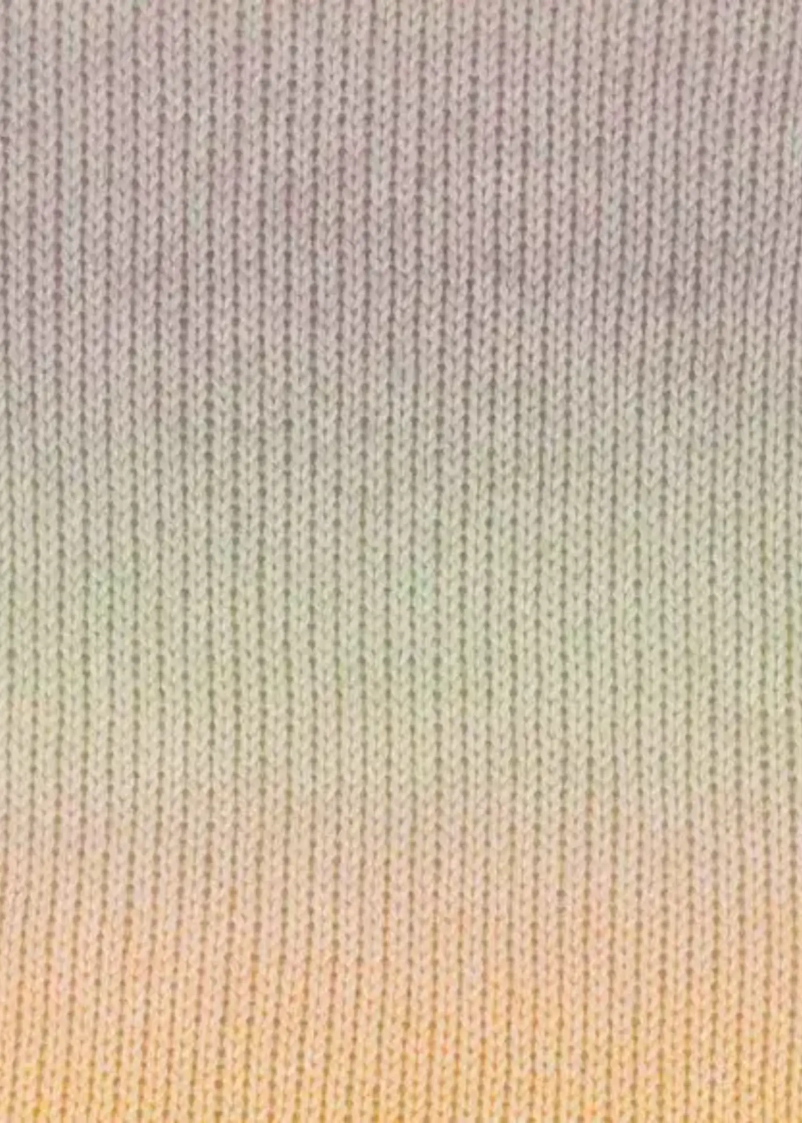 Scheepjes Stone Washed Flow - 18 Mellowness