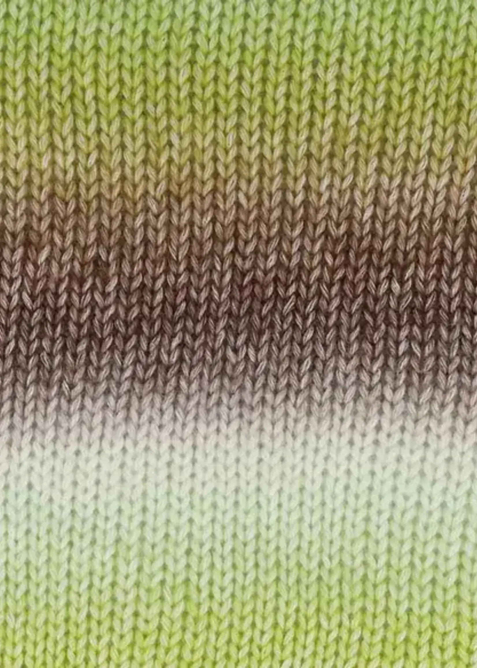 Scheepjes Stone Washed Flow XL - 04 Reverie