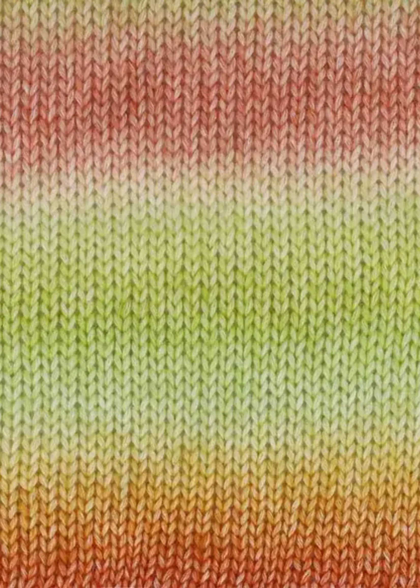 Scheepjes Stone Washed Flow XL -10 Harmonia