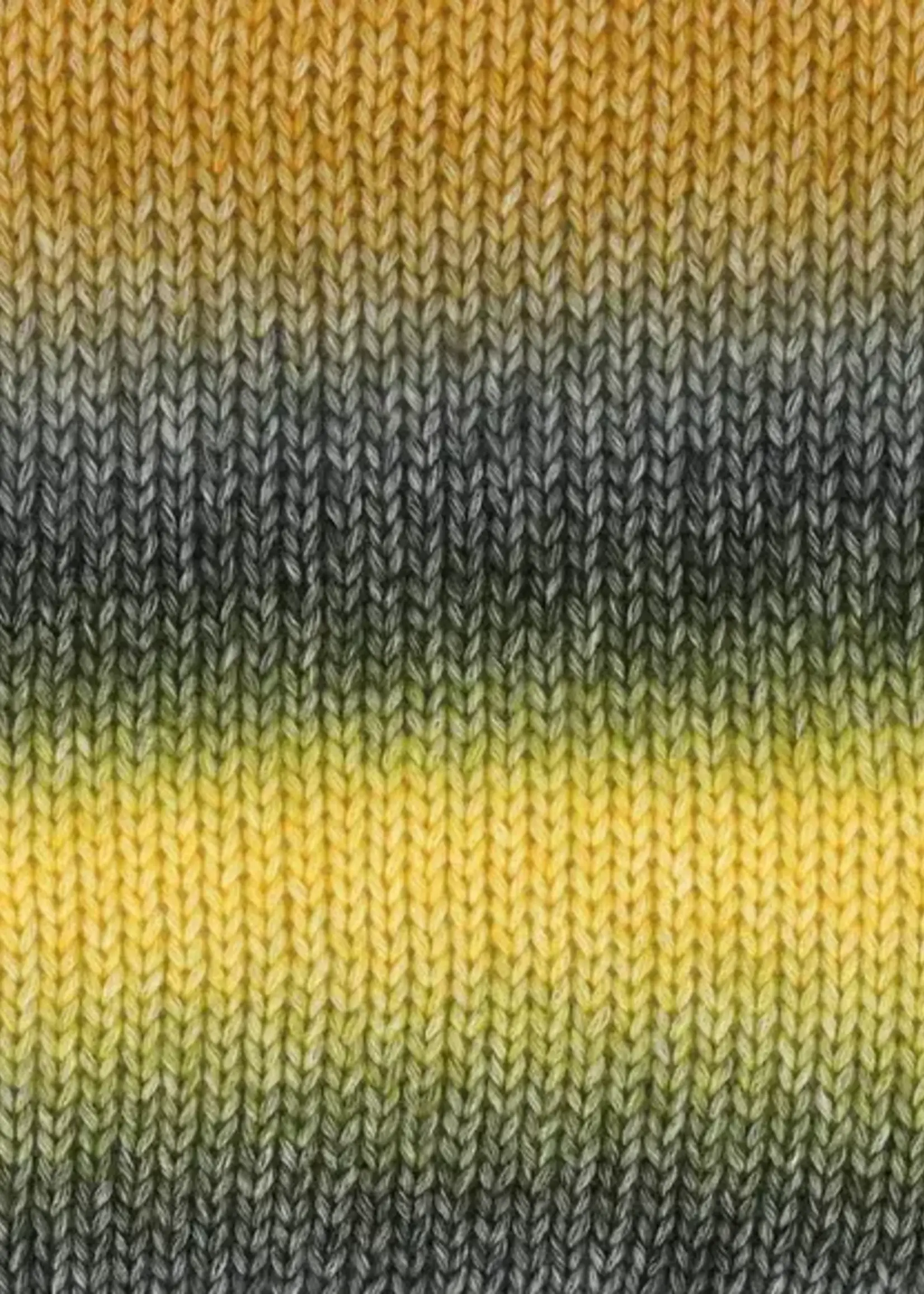 Scheepjes Stone Washed Flow XL -16 Haze