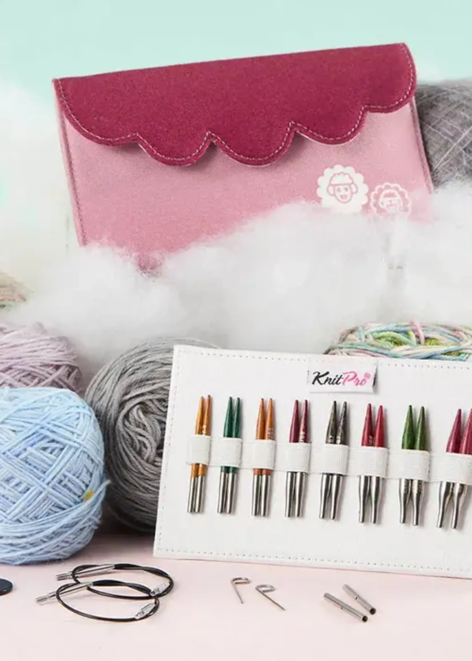 KnitPro KnitPro Dreamz Spec. verwisselb. breip. 5cm set Mini