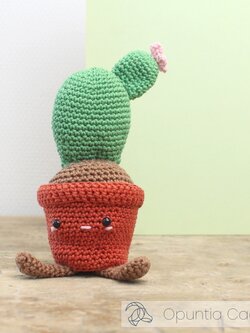 Hardicraft Haakpakket -Hardicraft -Opuntia Cactus