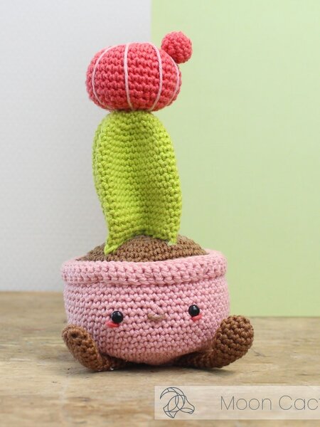 Hardicraft Haakpakket -Hardicraft -Maancactus