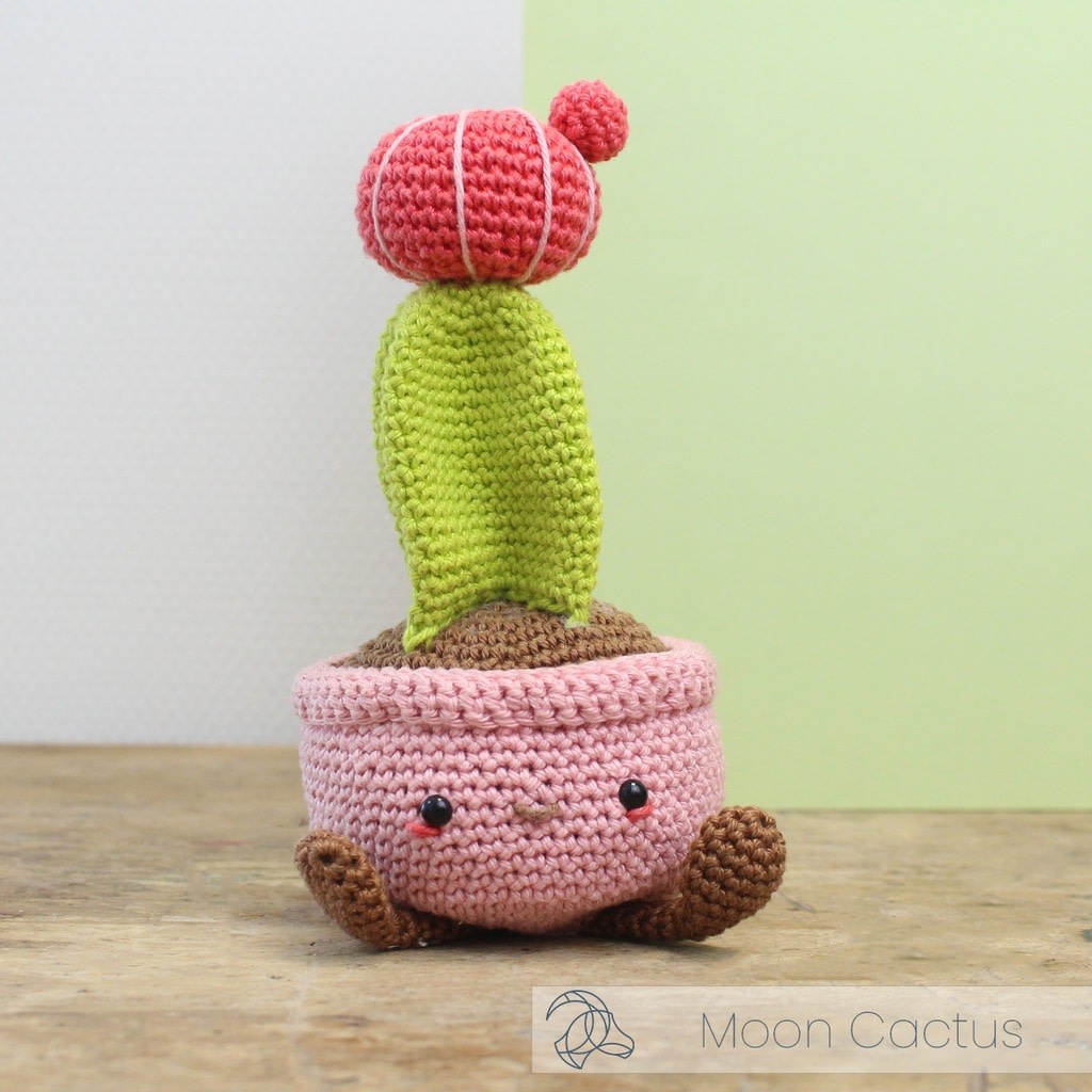 Hardicraft Haakpakket -Hardicraft -Maancactus