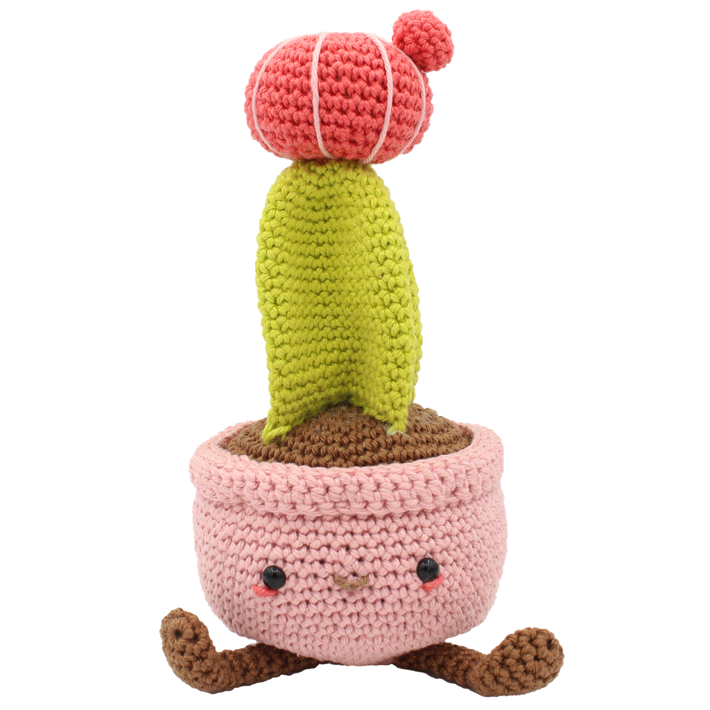 Hardicraft Haakpakket -Hardicraft -Maancactus