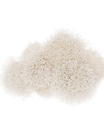 Rico Hooki knoopset wandhangende wolk