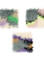 Hooki Hooki knoopset marmeren afbeeldingen