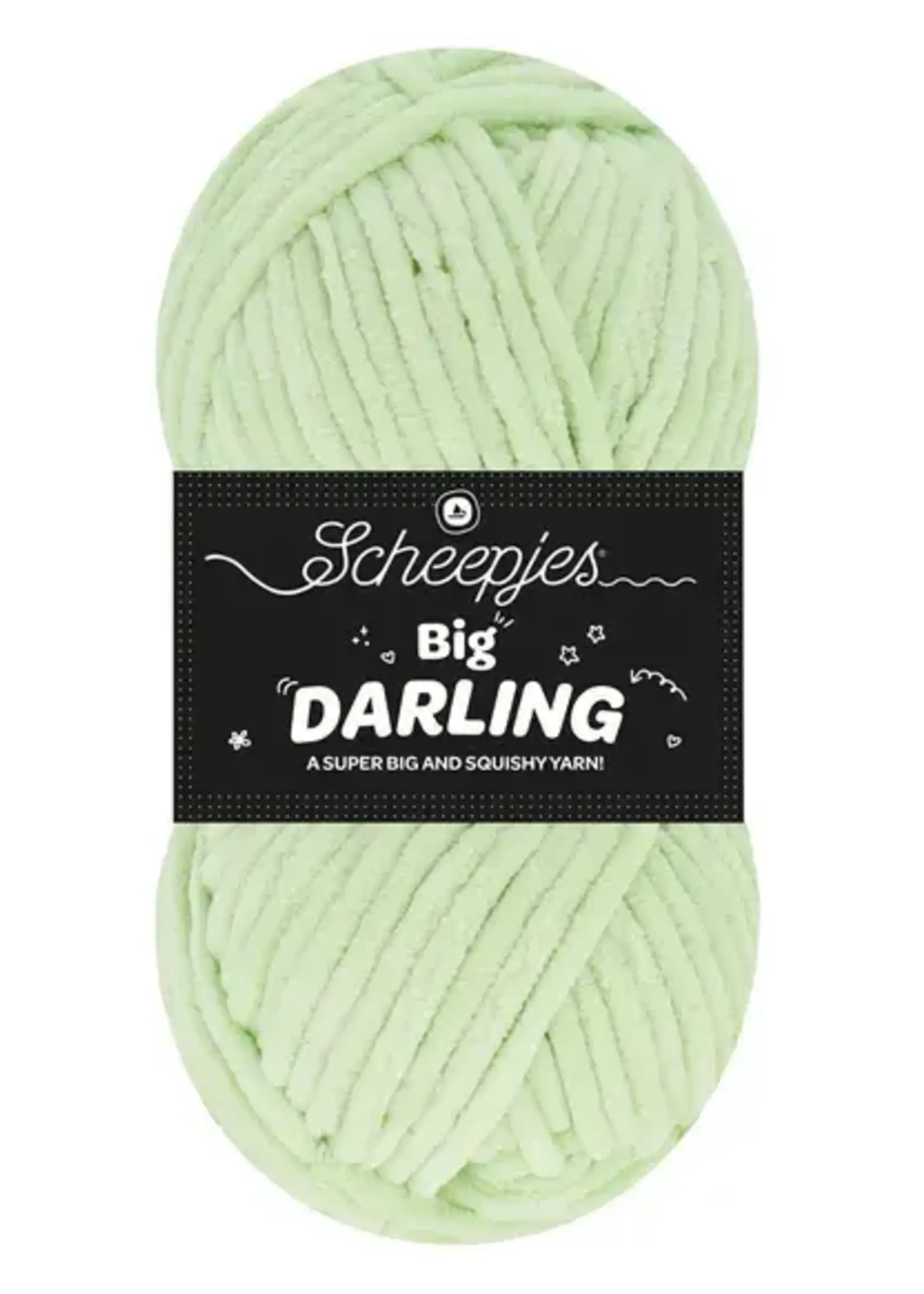 Scheepjes Scheepjes Big Darling - 429 Toad