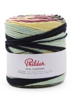Phildar Phil Chromia Multico Vert -Phildar