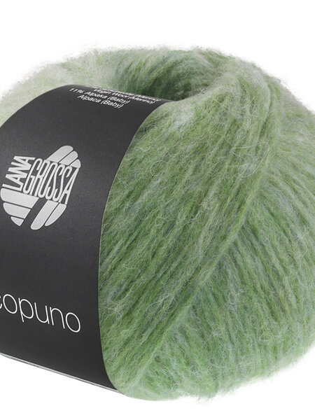 Lana Grossa Ecopuno Sfumato -710 groen/resedagroen