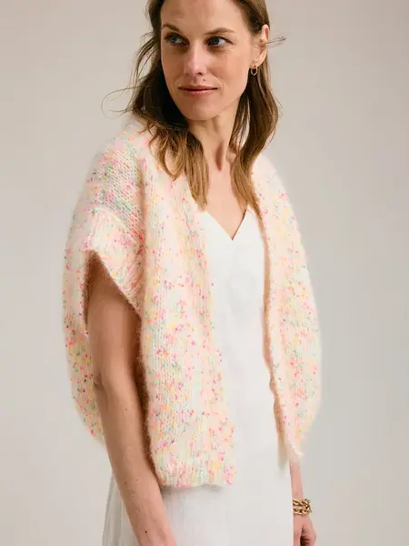 Phildar breipatroon gilet Leony (Franse beschrijving)