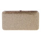 SPARKLING WALLET GOLD