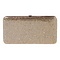 SPARKLING WALLET GOLD