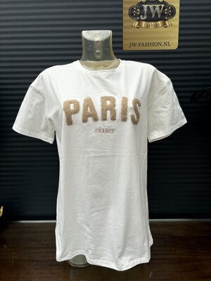 t-shirt paris/bruin