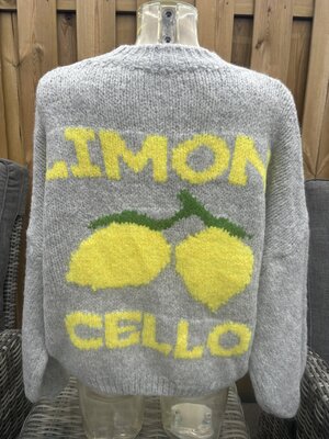 trui grijze limon cello