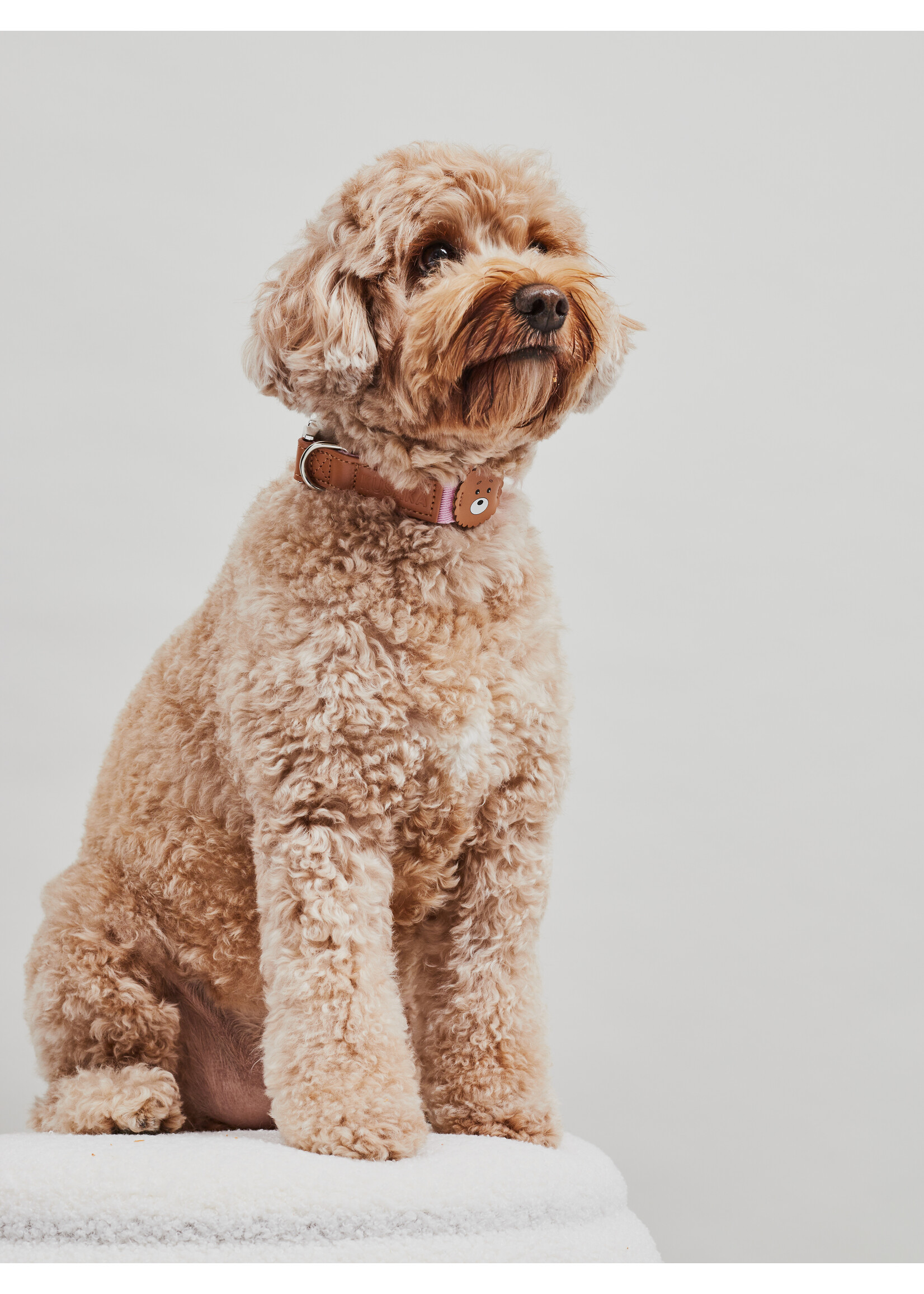 KUSAKA Bear Collar - Taffy Pink