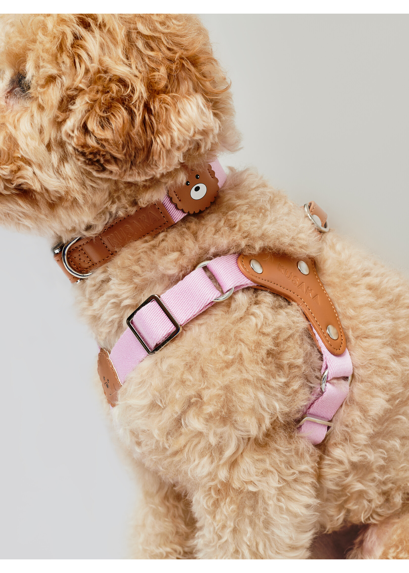 KUSAKA Bear Collar - Taffy Pink