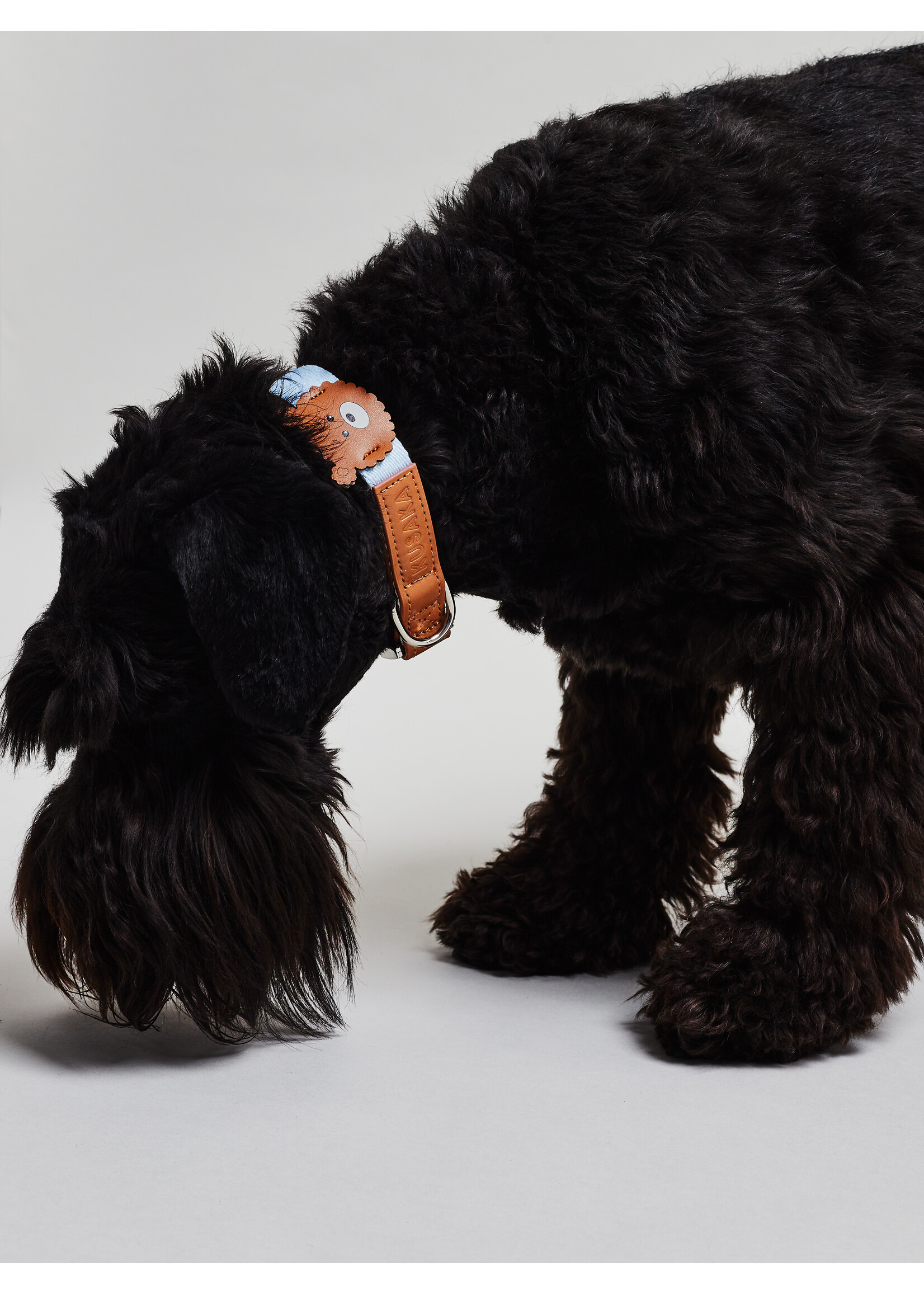 KUSAKA Bear Collar -  Sky Blue