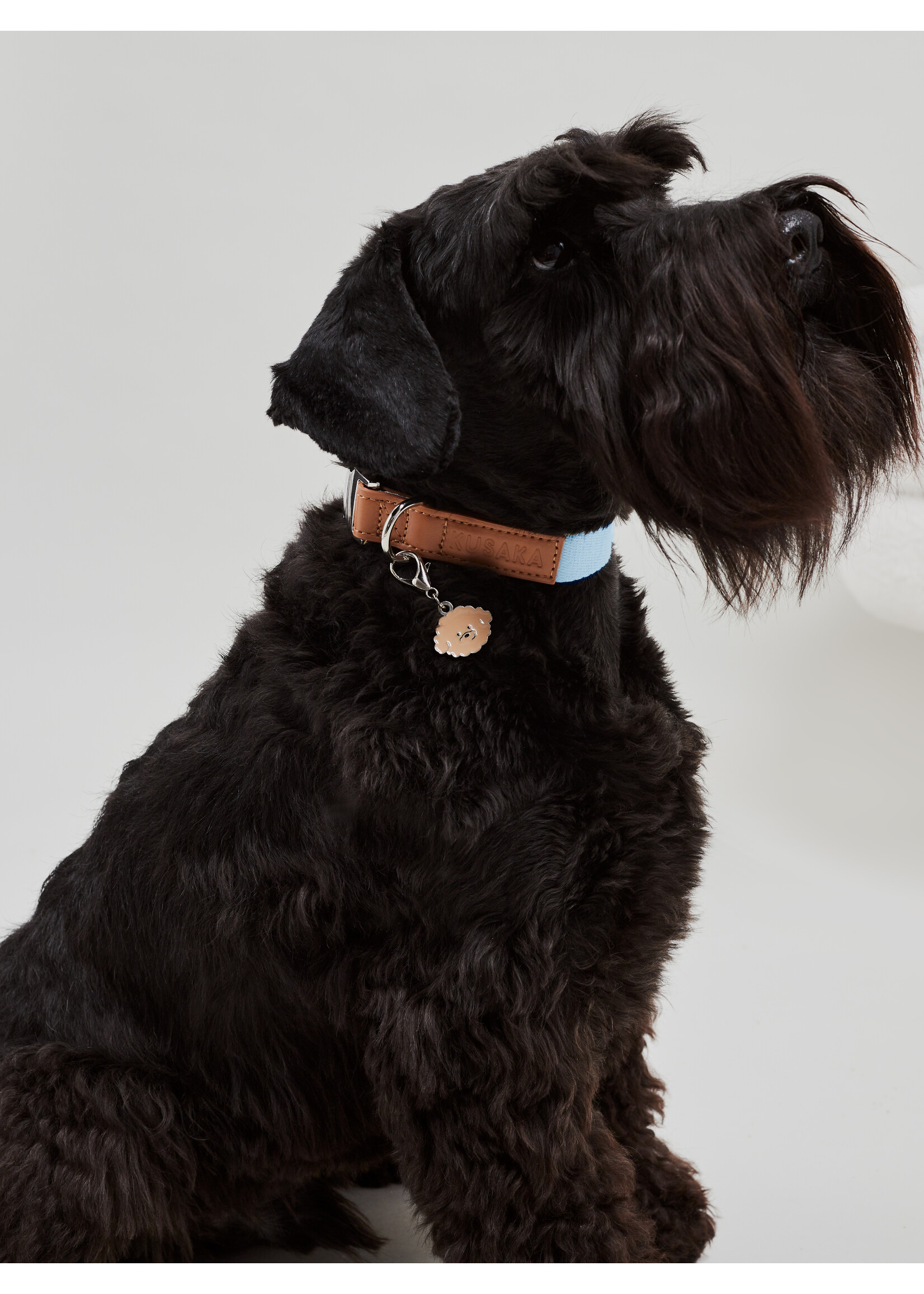 KUSAKA KUSAKA Collar - Sky Blue