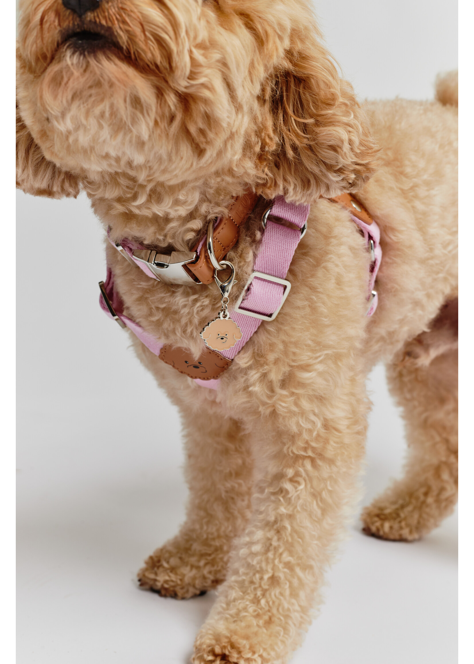 KUSAKA KUSAKA Collar - Taffy Pink